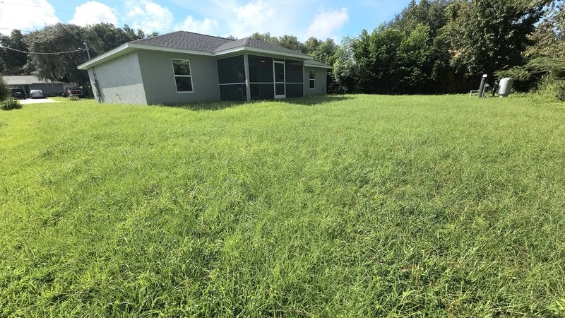 10 Pine Radial property image