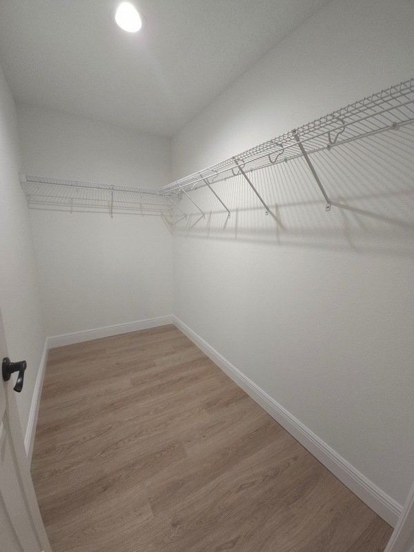 10908 Mataro ave property image