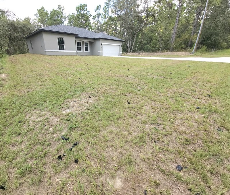 1604 W Delores Dr property image