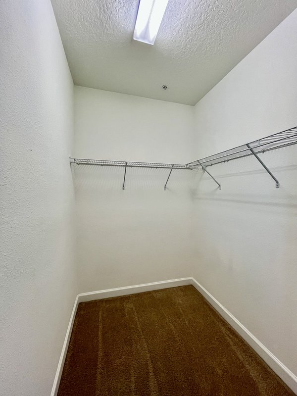 8975 Azalea Sands Ln property image