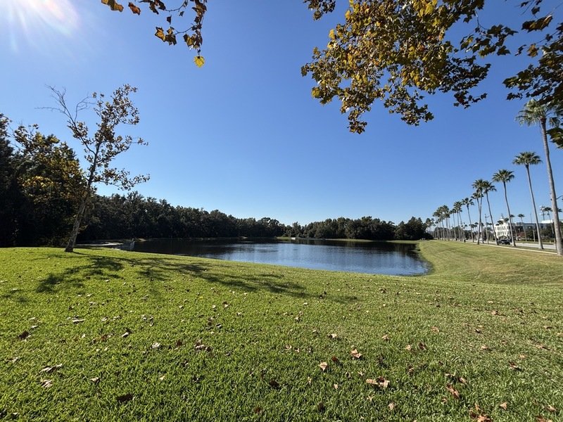 2/2 for rent in Celebration property image